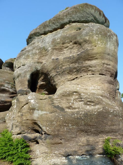 Worming Brimham